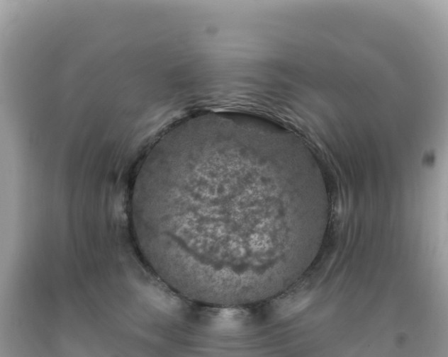 X0000092030663200709131620