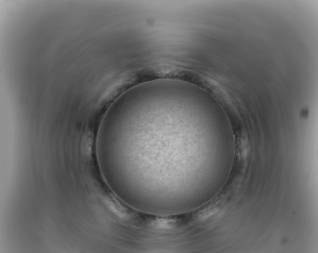 X0000092030664200709131620