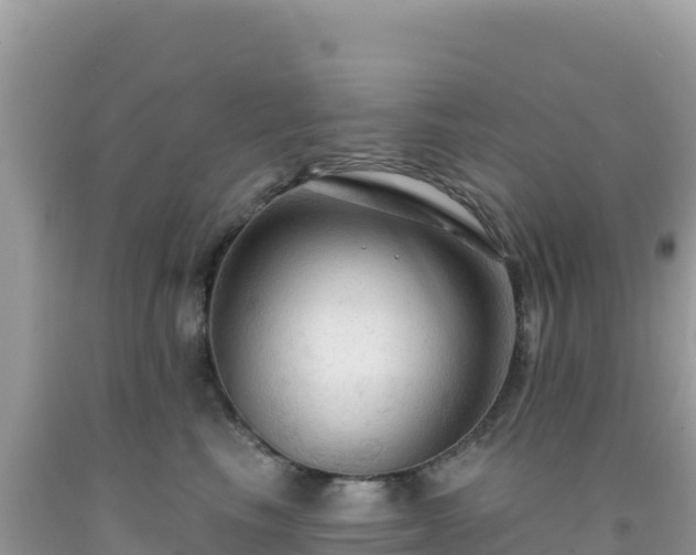 X0000092030665200709131620