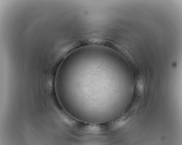 X0000092030668200709131620