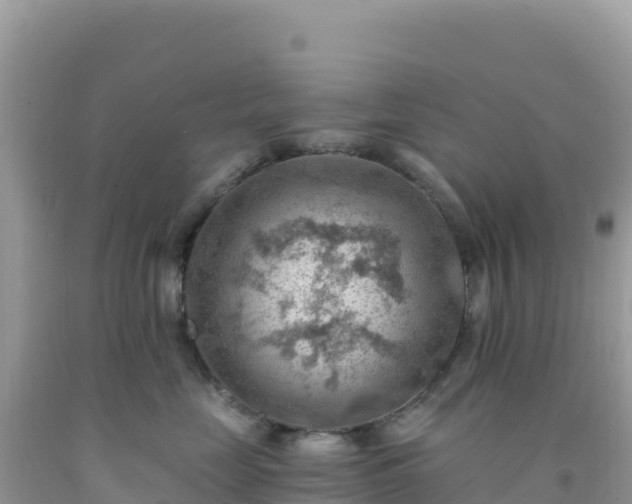 X0000092030669200709131620