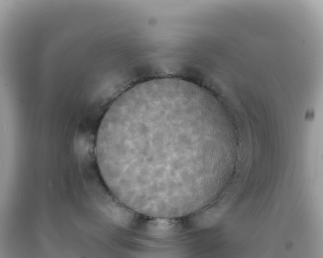 X0000092030672200709131620