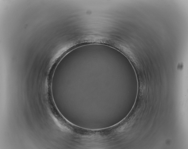 X0000092030674200709131620
