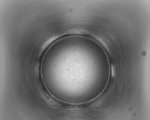 X0000092030675200709131620