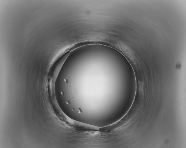 X0000092030676200709131620