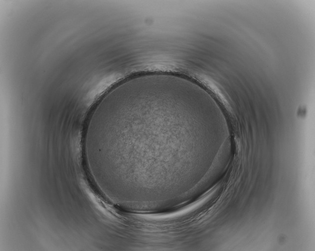X0000092030677200709131620