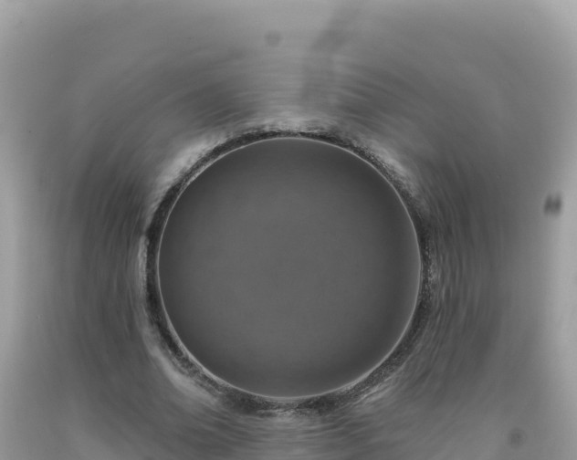 X0000092030678200709131620