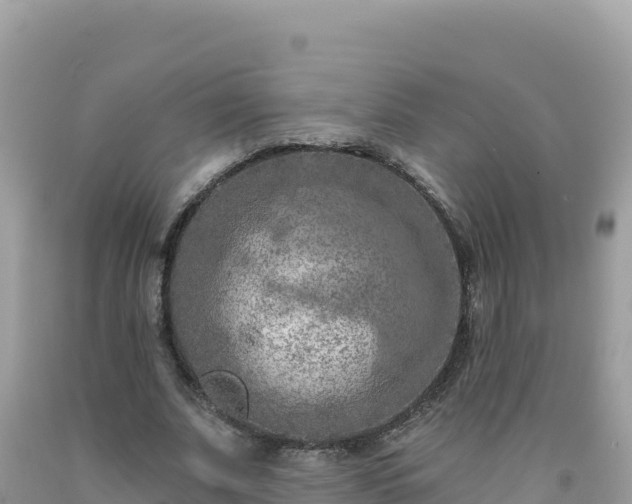 X0000092030679200709131620