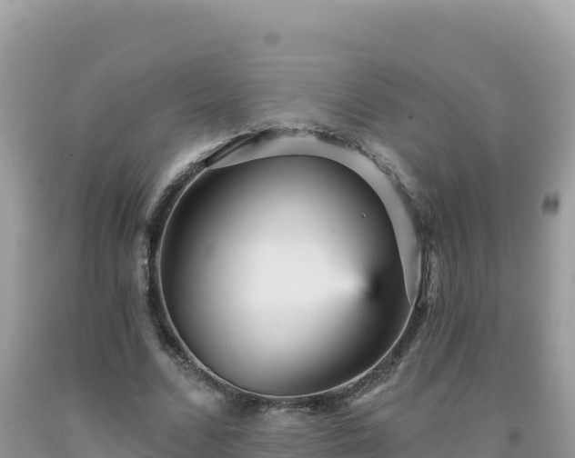 X0000092030680200709131620