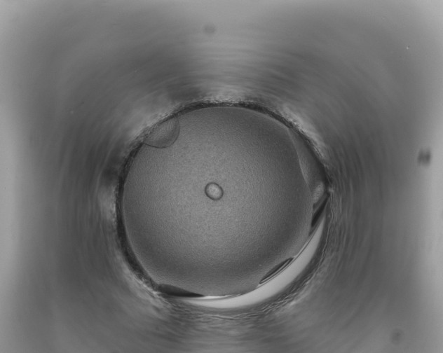 X0000092030681200709131620