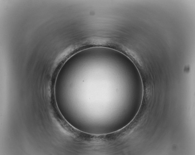 X0000092030682200709131620