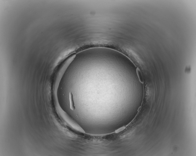 X0000092030684200709131620