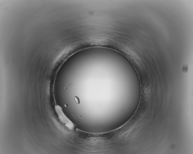 X0000092030686200709131620