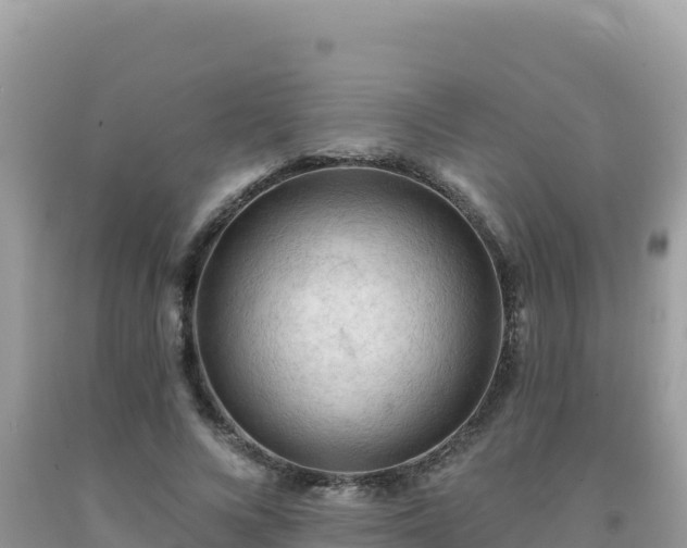 X0000092030688200709131619