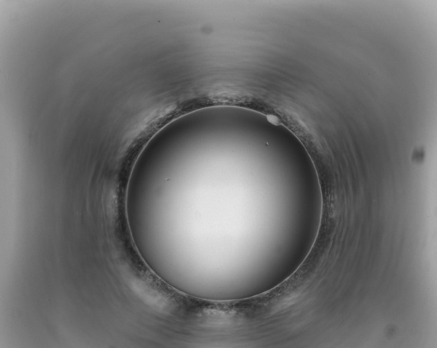X0000092030690200709131619