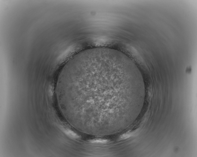 X0000092030691200709131619