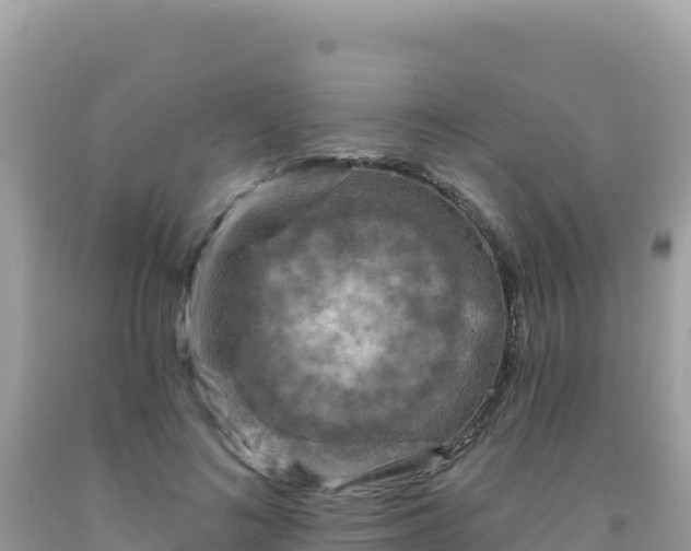 X0000092030692200709131619