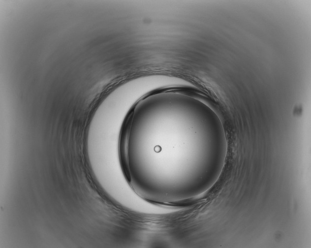 X0000092030693200709131619