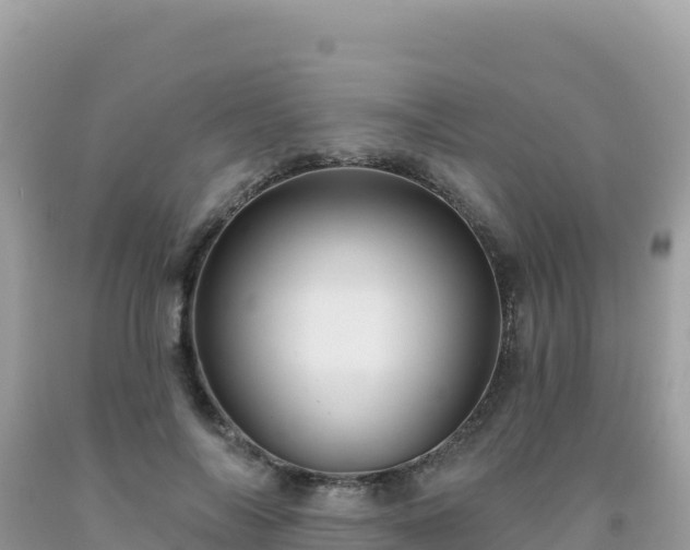 X0000092030694200709131619