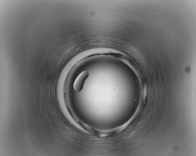 X0000092030697200709131619
