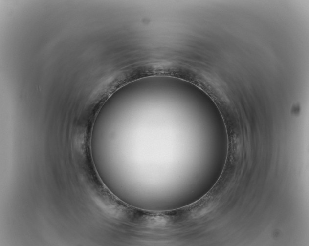 X0000092030698200709131619