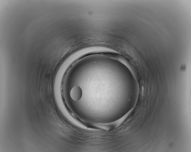 X0000092030700200709131619
