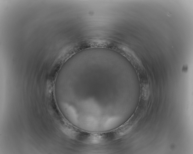 X0000092030701200709131619
