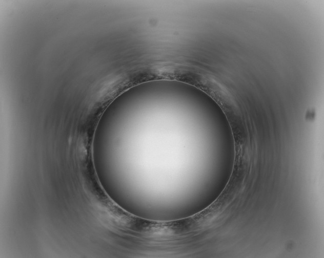 X0000092030702200709131619