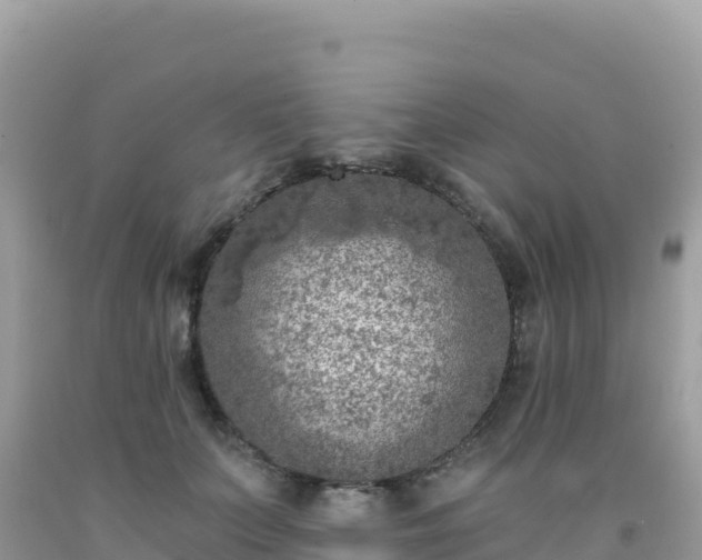 X0000092030703200709131619