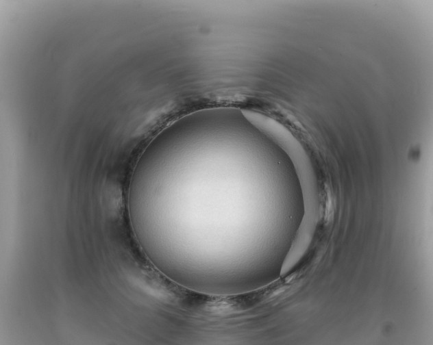 X0000092030704200709131619