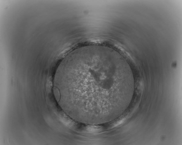 X0000092030707200709131619