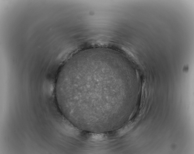 X0000092030709200709131619