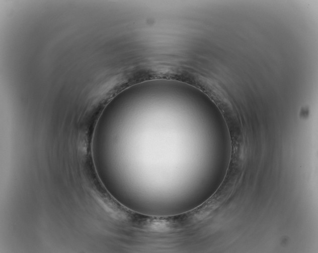 X0000092030710200709131619
