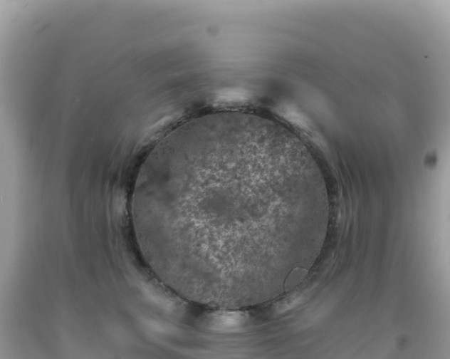 X0000092030711200709131619
