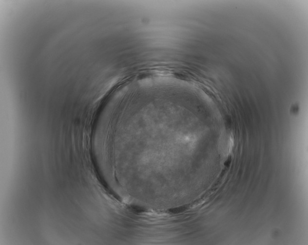 X0000092030712200709131619