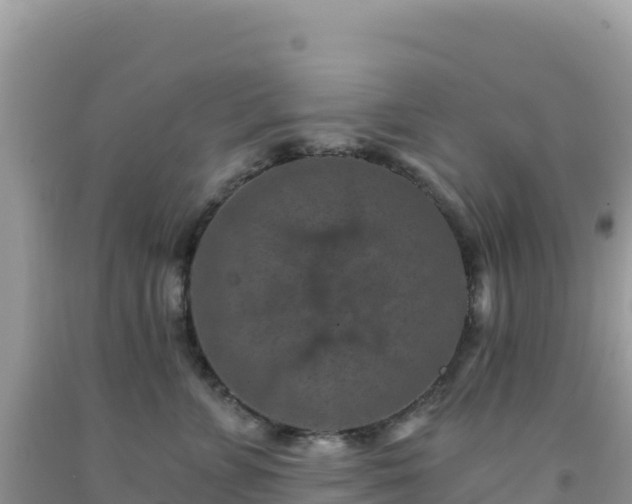 X0000092030715200709131619