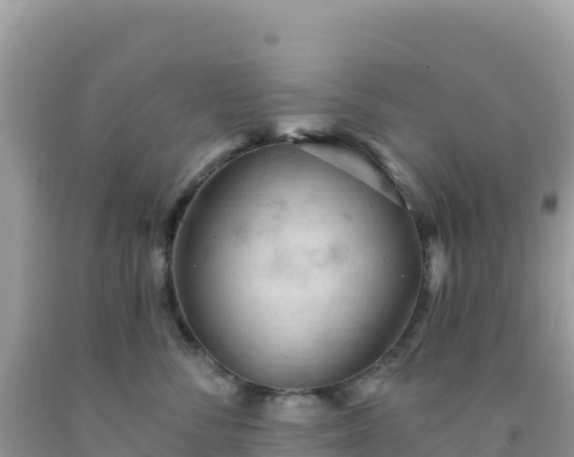 X0000092030716200709131619