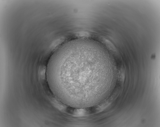X0000092030717200709131619