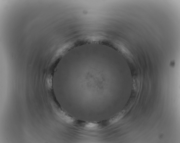 X0000092030718200709131619