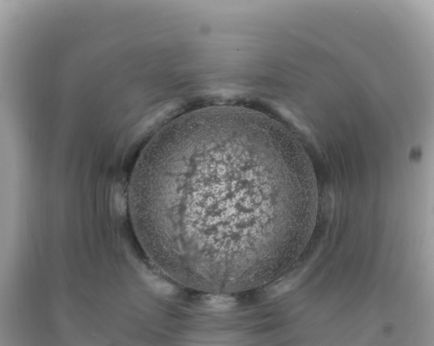 X0000092030719200709131619