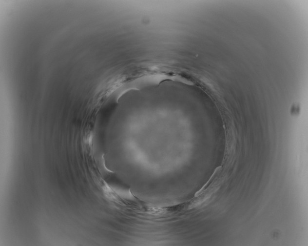 X0000092030720200709131619