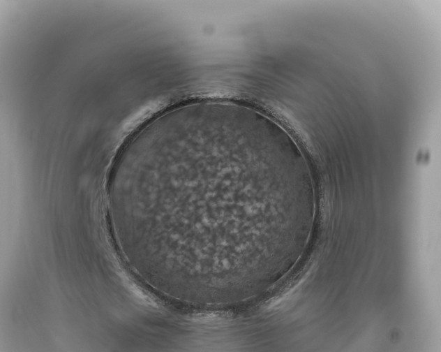 X0000092030721200709131618