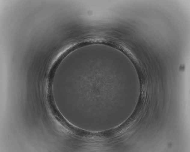X0000092030722200709131618