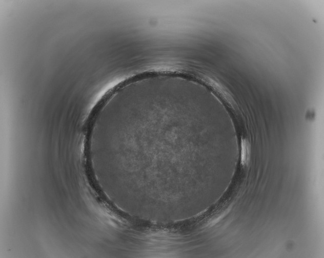 X0000092030723200709131618