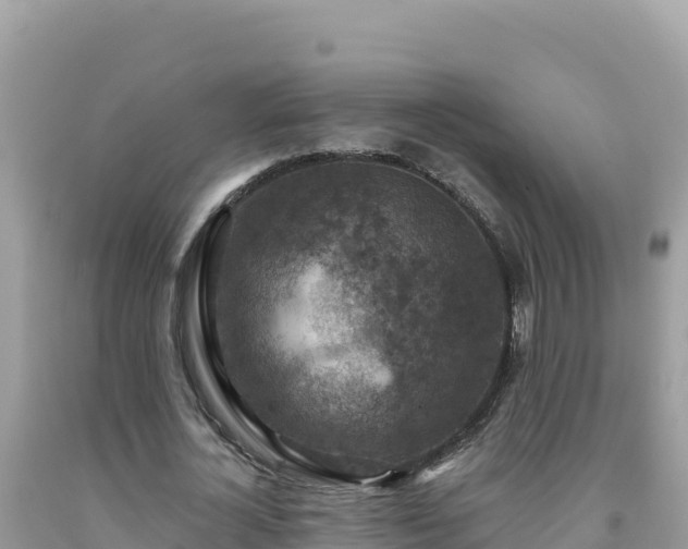 X0000092030724200709131619