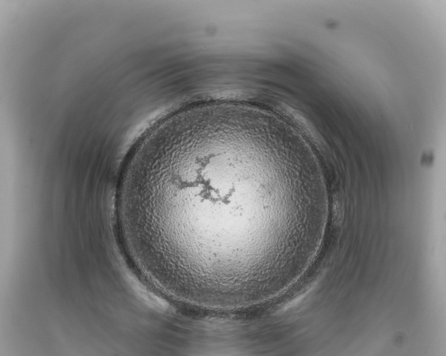 X0000092030725200709131619