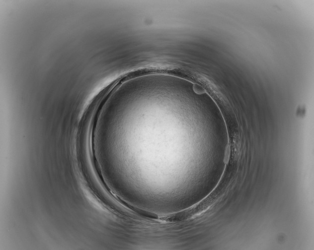 X0000092030726200709131619