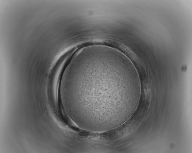 X0000092030728200709131619