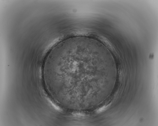 X0000092030729200709131619