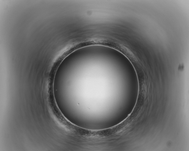 X0000092030730200709131619